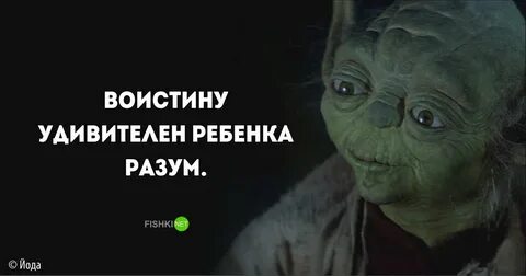 Мастер едим