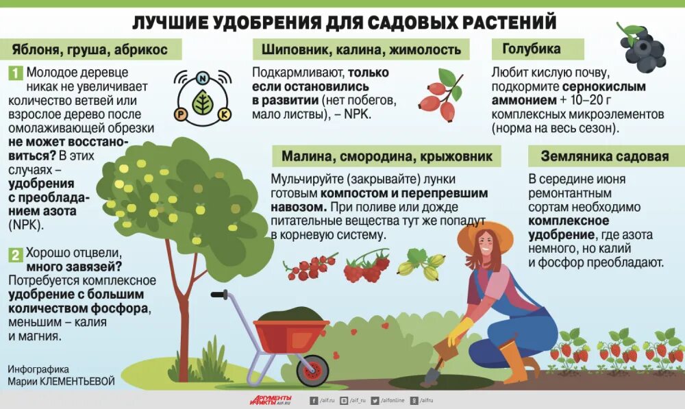 Как подкормить рассаду аммиачной селитрой