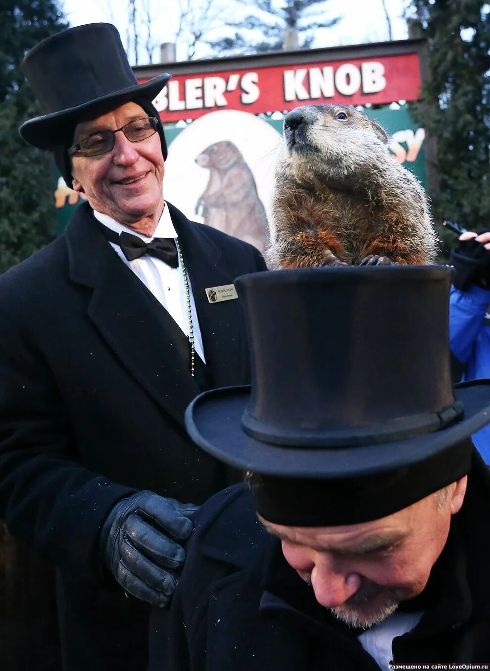 Сурок Панксатони Фил. День сурка (Groundhog Day). Сурок из Панксатони. Панксатони штат Пенсильвания. Знаменитый фил из панксатони 5 букв