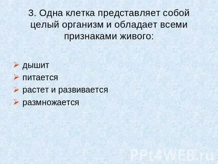 Клетка питается дышит размножается