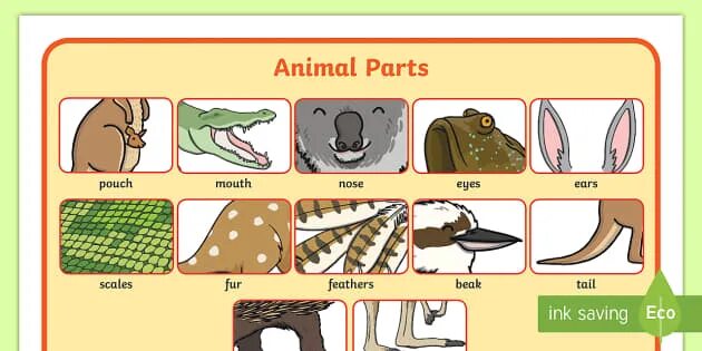 Fill in natural animal. Части тела животных Worksheets. Animal body Parts for Kids. Части тела у животных Flashcard. Части тела животных на английском 3 класс.