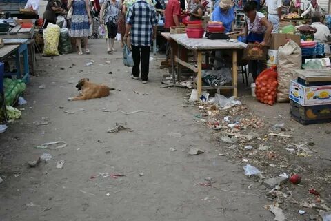 Поиск рынка