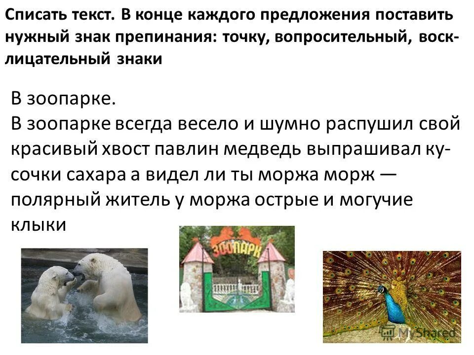 спиши текст в каждом предложении. спиши текст в каждом предложении. поставьте нужный знак в конце предложения. спиши в каждом предложении подчеркни. спиши текст в каждом предложении.