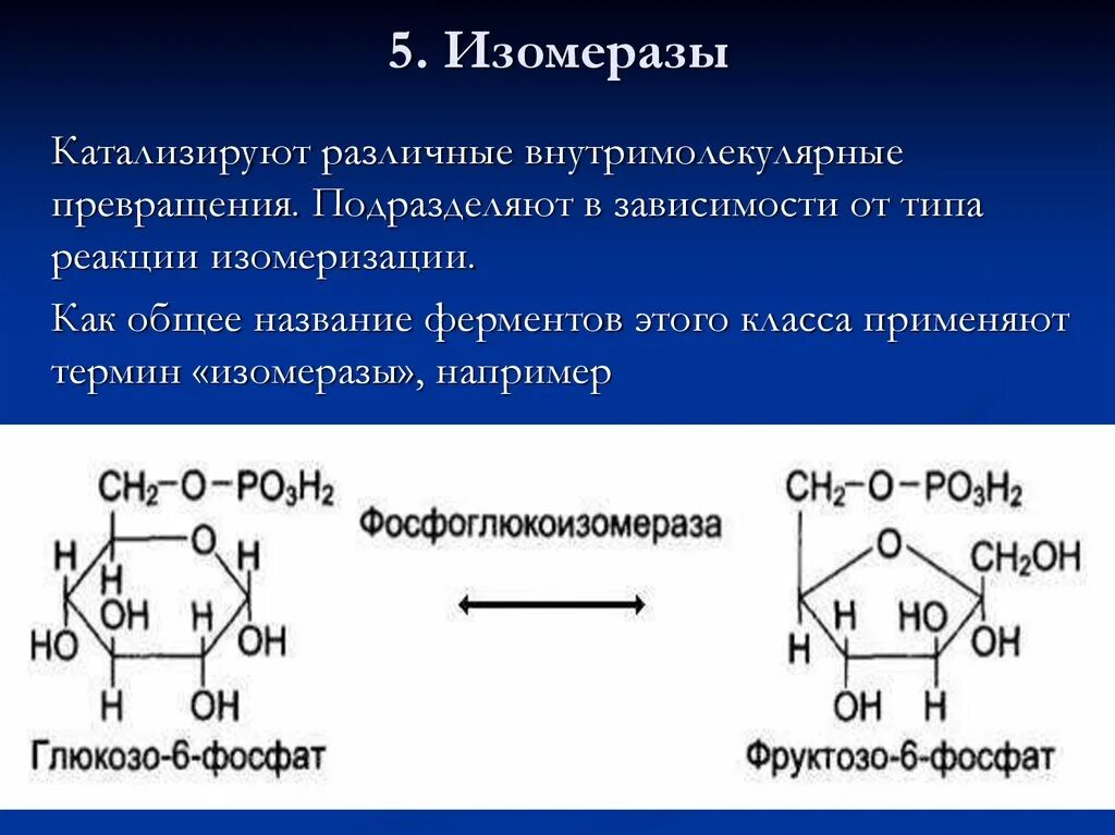 Типы реакций катализируемых ферментами. Изомеразы Тип катализируемой реакции. Изомеразы класс ферментов. Изомеразы подклассы. Фосфоглюкоизомераза.