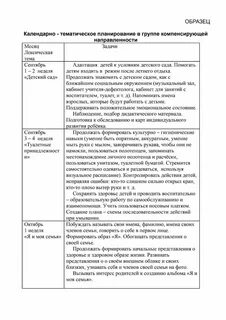 Рабочая программа компенсирующей группы