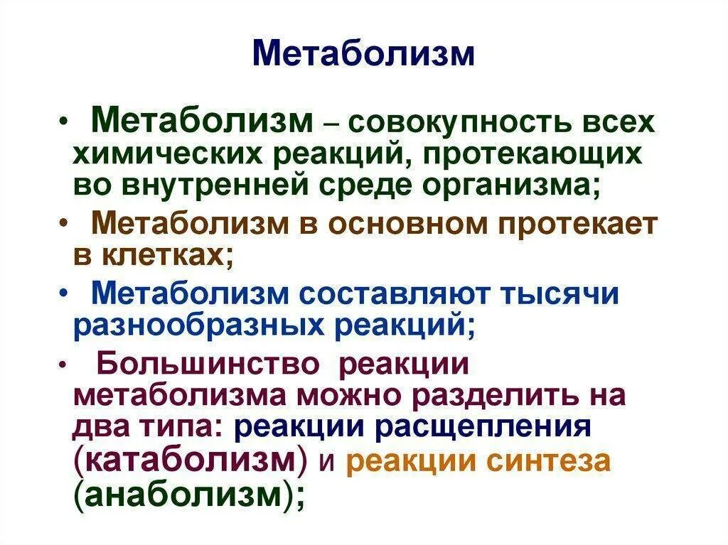 Метаболизм это простыми словами у человека