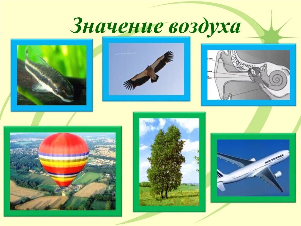 4 класс естествознание какое значение имеет воздух. Значение воздуха. воздух значение воздуха. значение воздуха для человека. воздух в природе.
