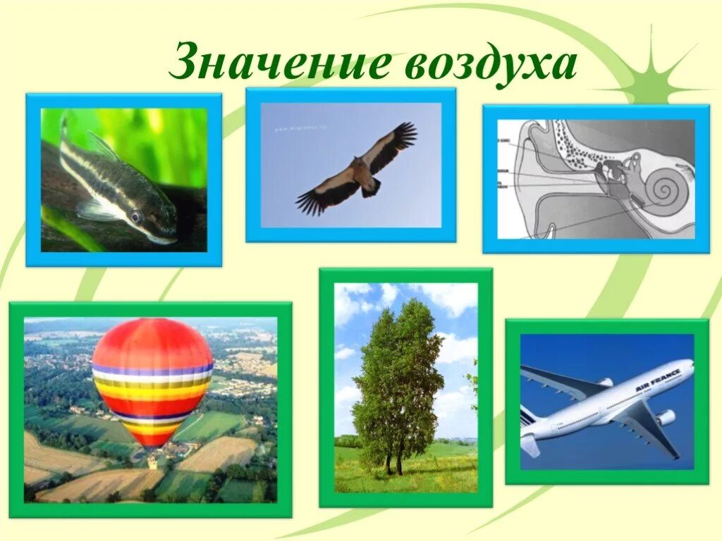 А значит воздух обладает. Воздух в природе. Значимость воздуха. Воздух для дошкольников. Воздух значение воздуха.