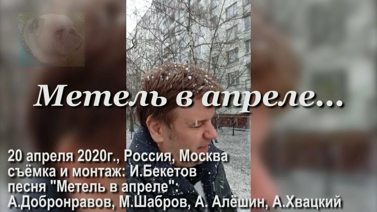 Метель метель какого ведь уже апрель. Скоро апрель. Завтра двадцатое апреля. Скоро апрель песня. Скорей бы апрель измарался весь.