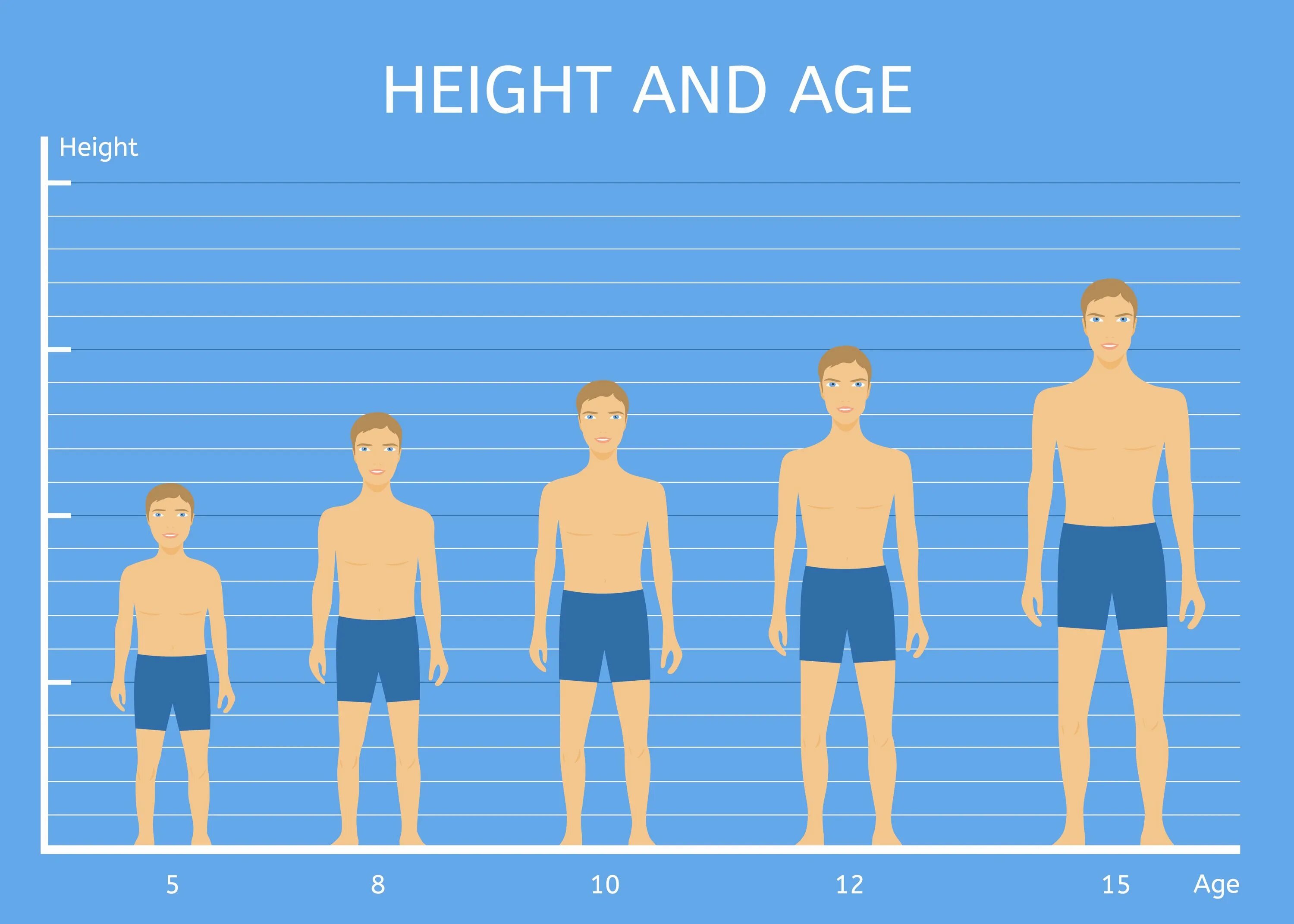 Человек среднего роста. Рост человека. Люди по росту. Средний рост человека.