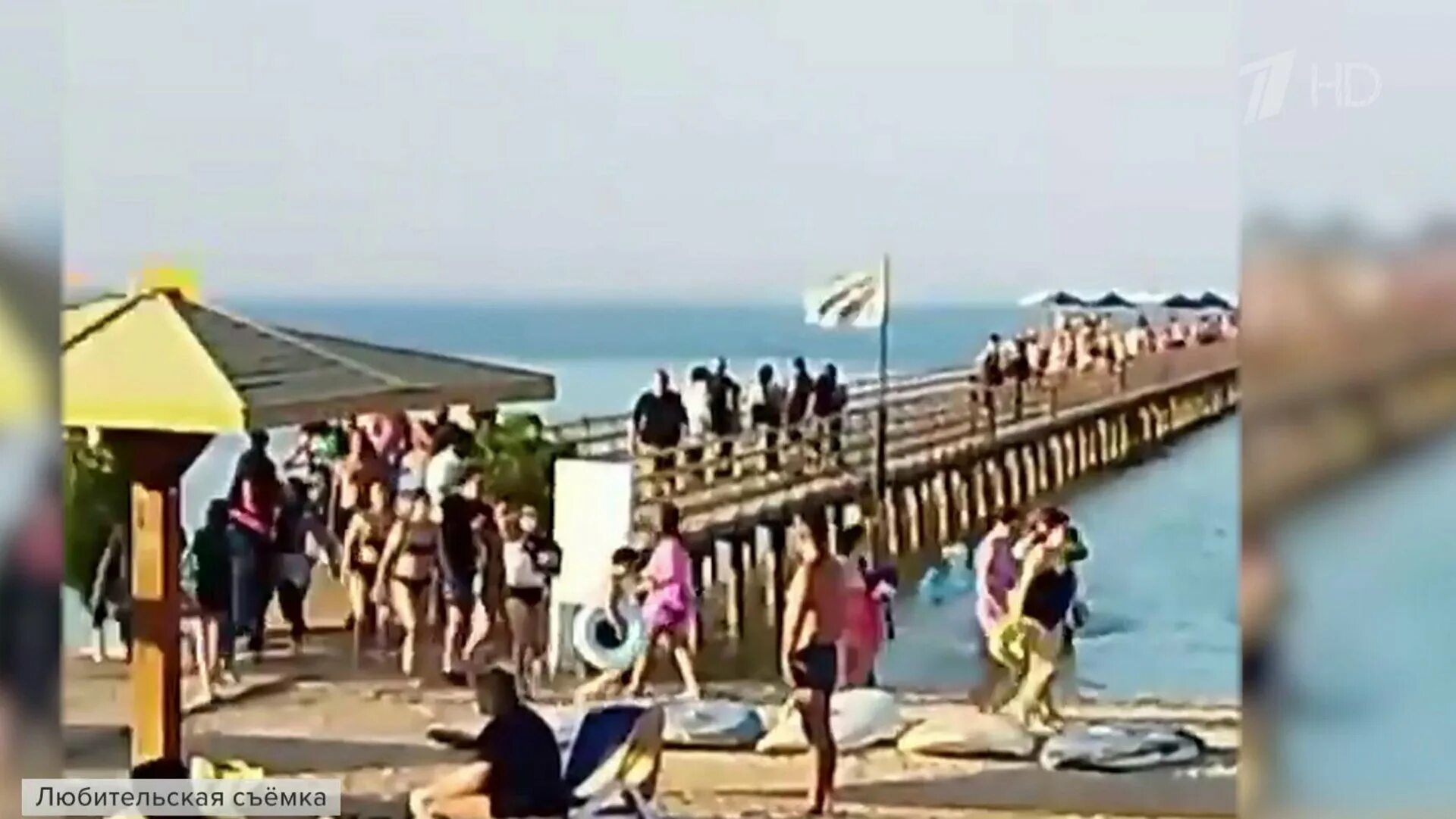 В хургаде акула напала на туристку. Напал на египет. Напал на египет. В египте акула напала на туристку 2022. Акулы в черном море.