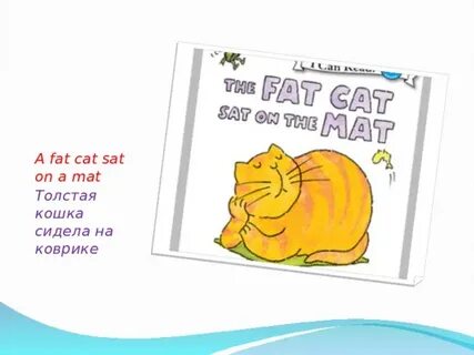 A fat black cat перевод на русский