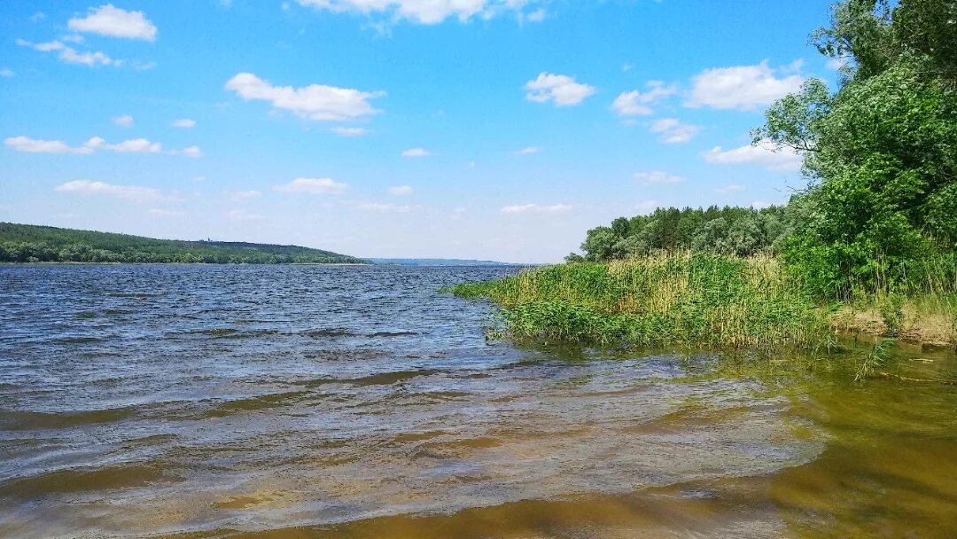 Р н. Михайло овсянское водохранилище. Михайло овсянское водохранилище Самарской области. Водохранилище Краснооскольское водохранилище. Краснооскольское водохранилище дамба.