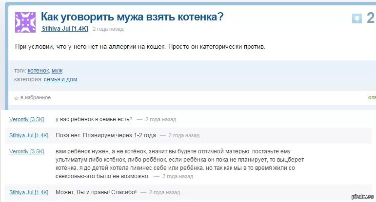 Убедила оставить дома. Как уговорить маму взять котенка. Как уговорить родителей взять котёнка. Как уговорить родителей завести котенка. Как уговорить родителей купить котенка.