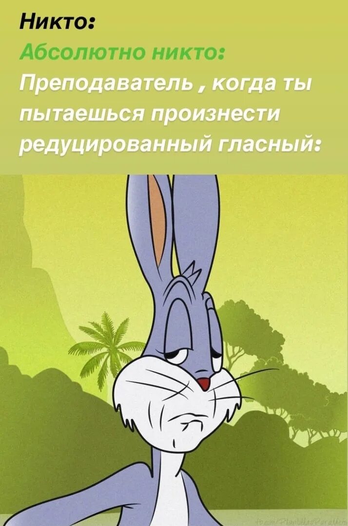 Кролик мем