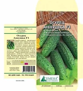 Огурцы сорт аннушка
