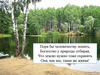 И все таки у природы