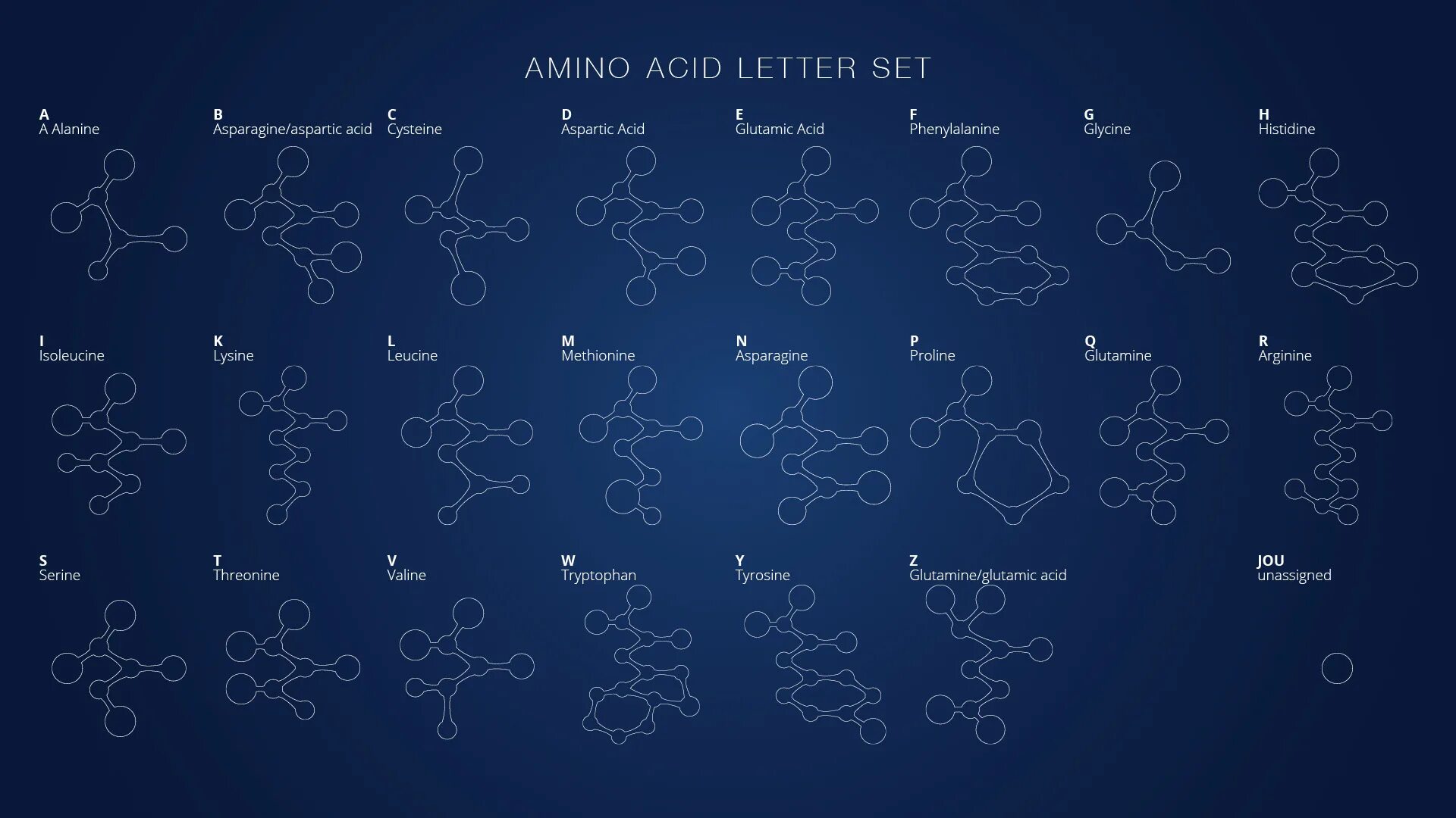 20 аминокислоты химия формулы. Аминокислоты картинки. Молекула аминокислоты. Images amino acid. Глутаминовая кислота молекула.
