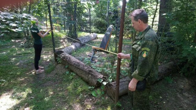 Заходишь в лесхоз и сразу чувствуешь попал. Лесничий в лесу. Корпус лесничих. Незаконный Лесной участок. Контроль лес.