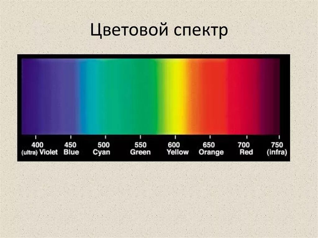 Спектр. Цвета спектра. Цветовой спектр. Спектральных цветов.