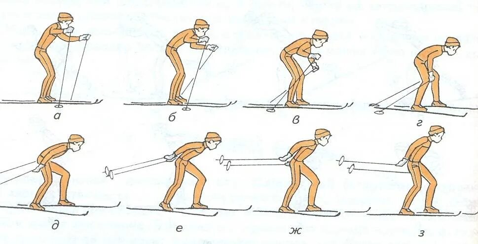 Правильный лыжник. Двухшажный коньковый ход. 1. Одновременный двухшажный коньковый ход. Коньковый попеременный ход на лыжах. Одновременный двухшажный коньковый ход.