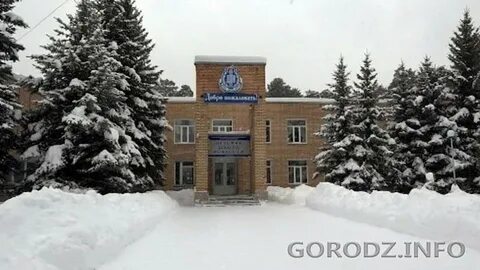 Школа искусств заречный