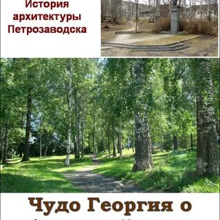 История березовой рощи