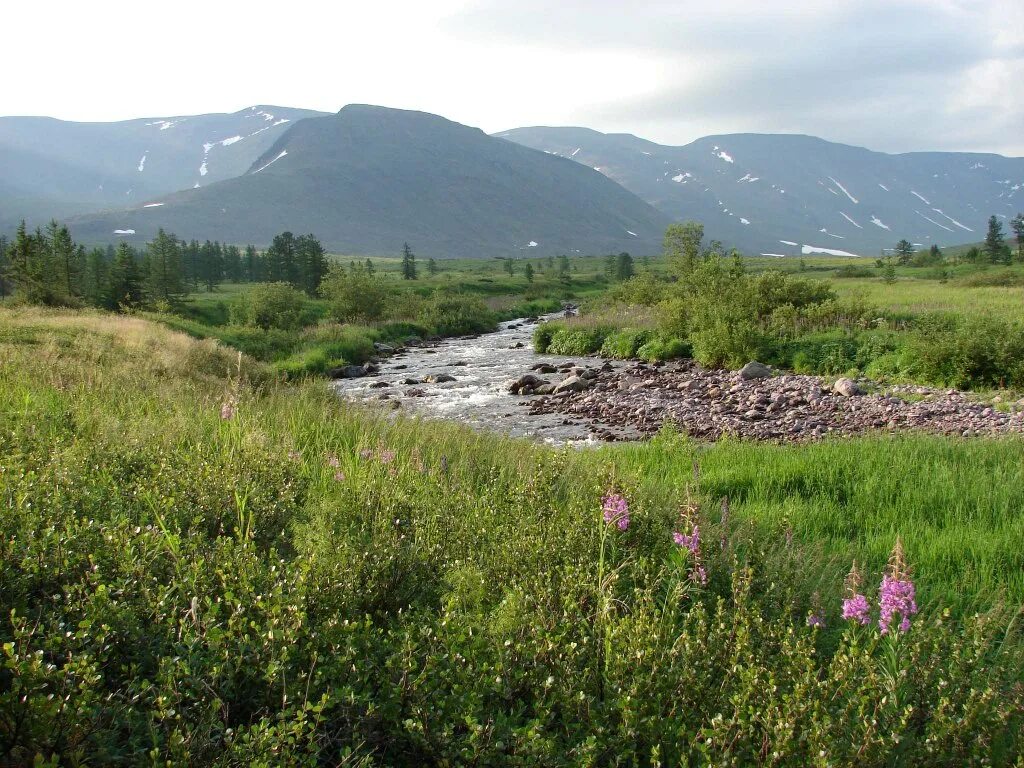 поселок приполярный березовского района. поселок салым нефтеюганский район. саранпауль. посёлок приполярный берёзовский район ханты-мансийский автономный. приполярный урал саранпауль.
