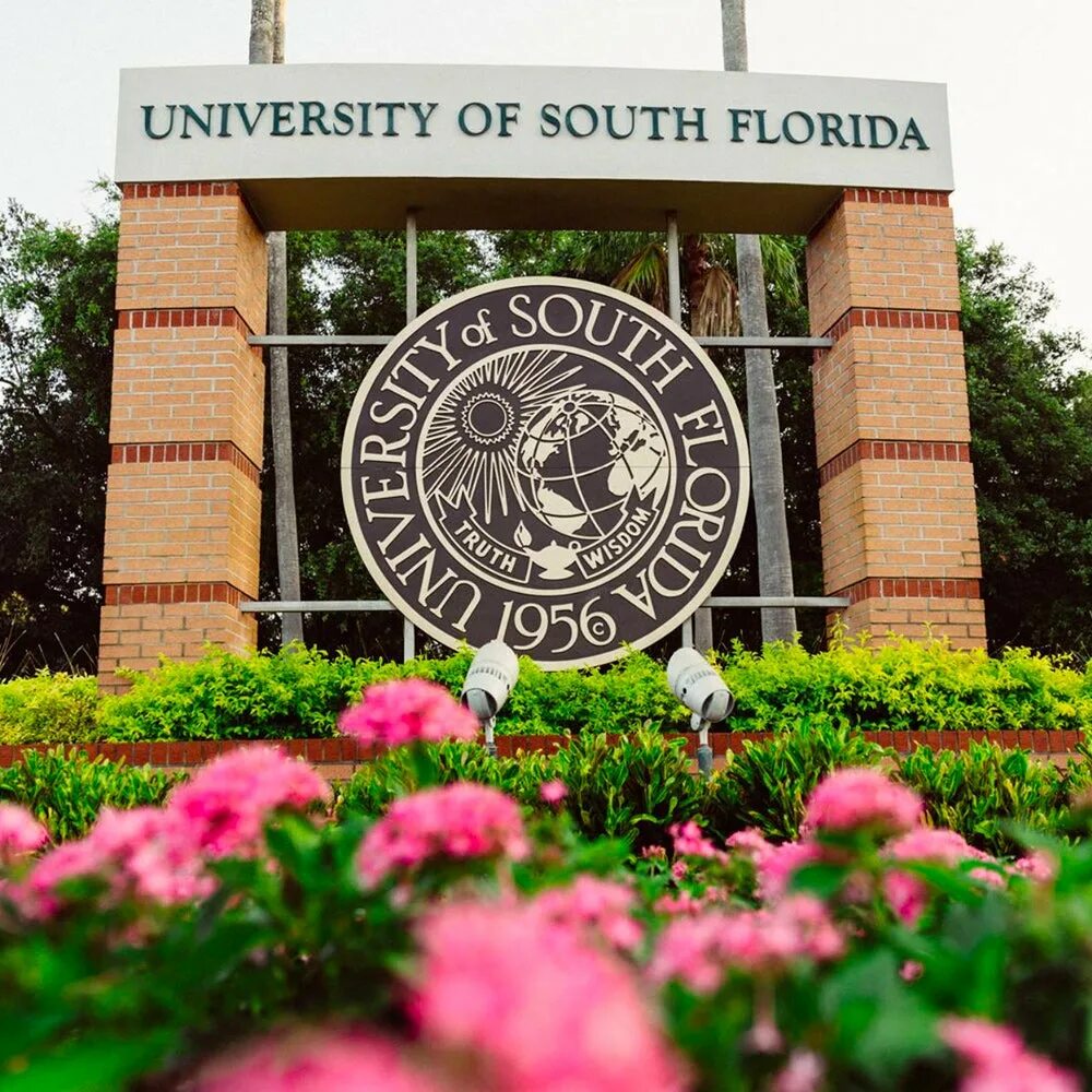 Университет into University of South Florida. University of South Florida Tampa. University of South Florida Tampa, FL. University of South Florida Campuses. 18 university