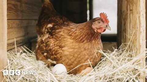 Түрмедегі анальный порно