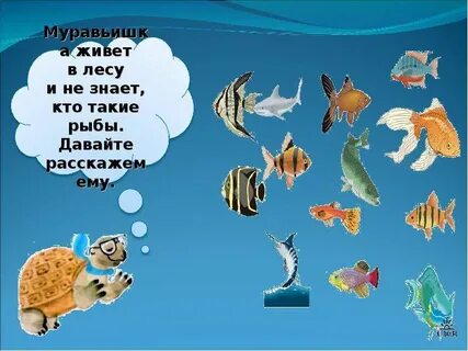 Рыбы презентация для подготовительной группы
