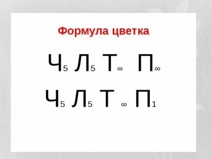 517 ч 5