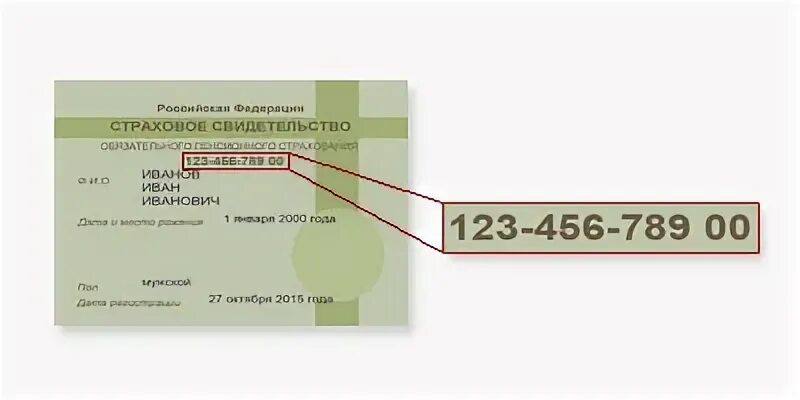 Как найти снилс в 1с. Паспортные данные и снилс. паспортные данные снилс и инн одного человека.