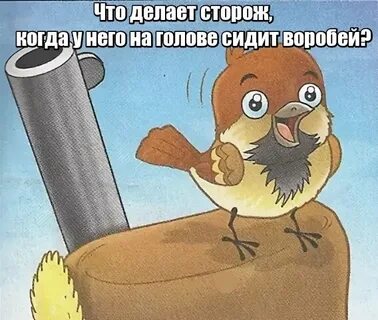 Что делают сторожа