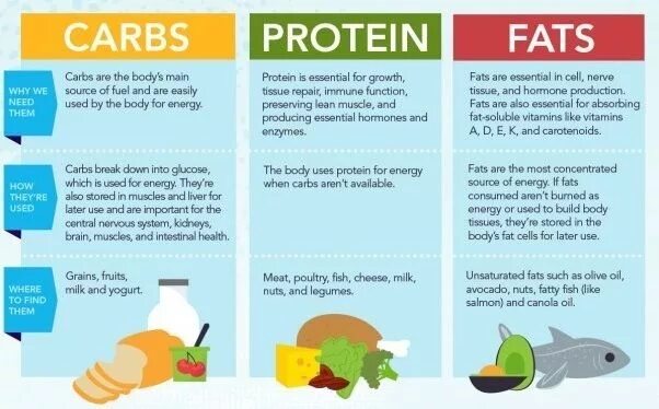 Белки жиры углеводы на англ. Углеводы на английском. Белки жиры и углеводы in English. Proteins fats carbohydrates.