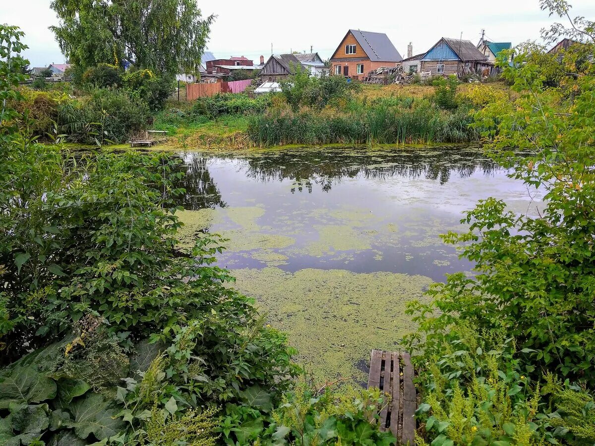 Погода майна ульяновская обл. Поселок майна Ульяновская область. Река майна Ульяновская область. Родниковые пруды Ульяновская область. Новая майна Ульяновская.