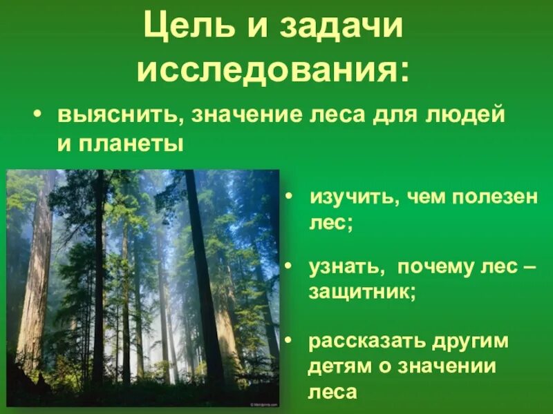 Почему лес называют сообществом 2 класс рассказ. Охрана и защита леса. Сохранение леса презентация. Лес для презентации. Важность сохранения лесов.