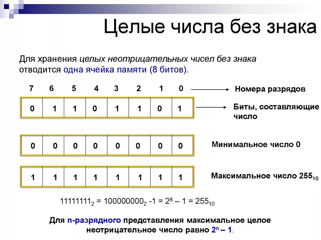 Целое число между 0 и 1. Что такое целое число в математике 6 класс. Таблица целых чисел 6 класс. Целые числа. Целые числа без знака.