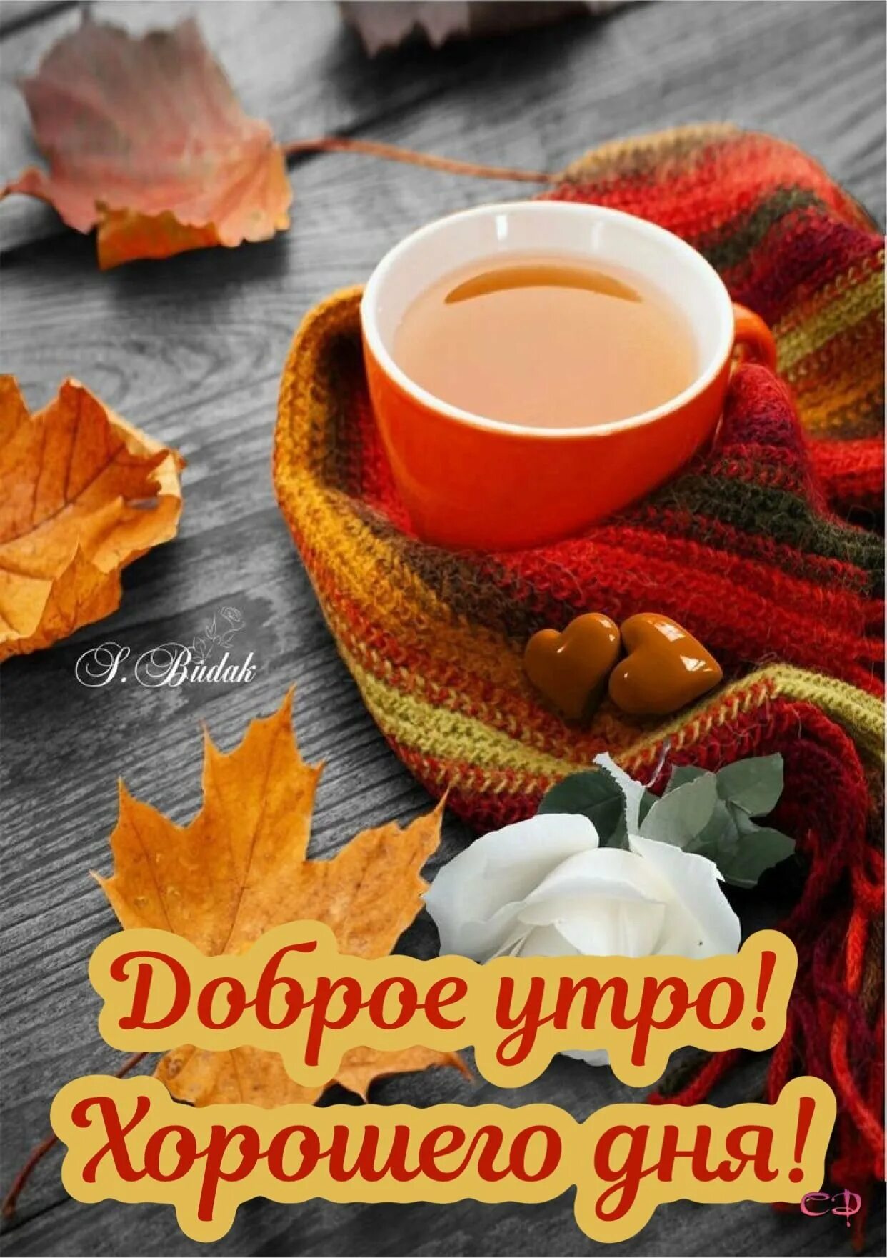 Утро картинки осенние необычные. Осенний кофе. Осень кофе. Доброе утро осень. Доброе осеннее утро.
