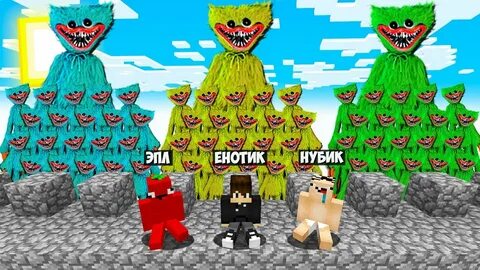 Видео енота и нубика