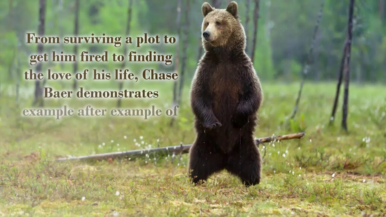 Pin on OG BEAR Bear, Grizzly bear, Kodiak bear