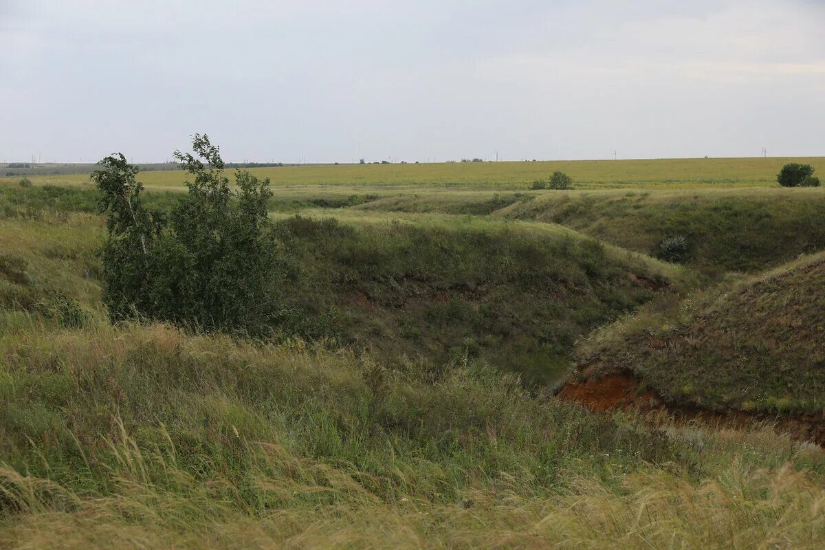 Погода ольховка волгоградской области на 10 дней. Ольховка Волгоградская область. Мокрая Ольховка яйца динозавров. Село Ольховка Волгоградской области. Яйца мокрой Ольховки.