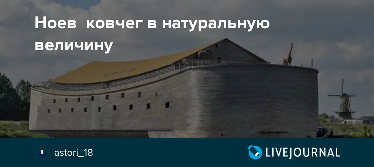 Программа ковчег. Программа ковчег