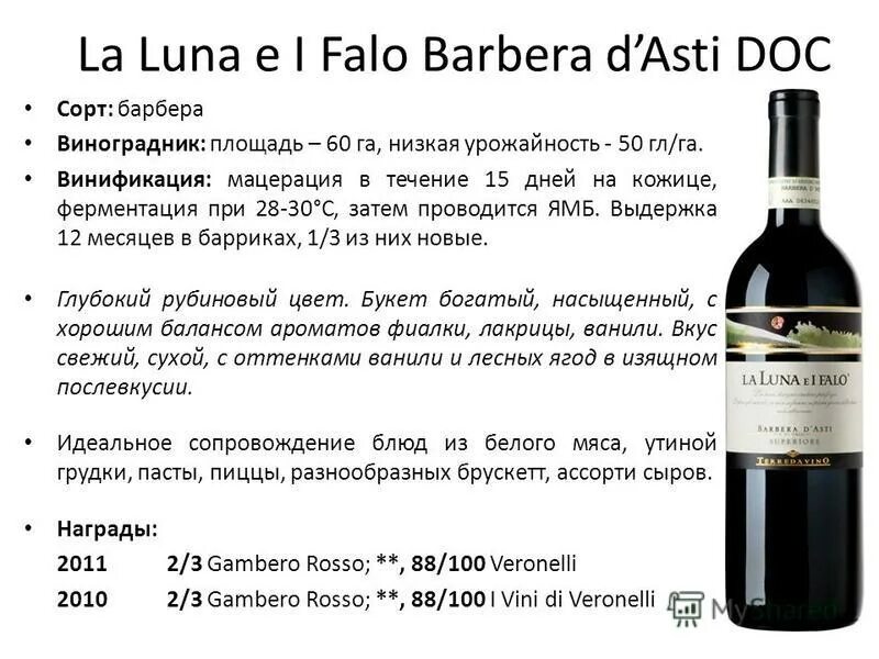 виноград барбера (3 года). сорт винограда barbera. ароматы сортов винограда. барбера д'альба. карменер виноград.