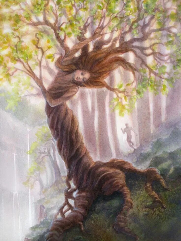 Into the tree