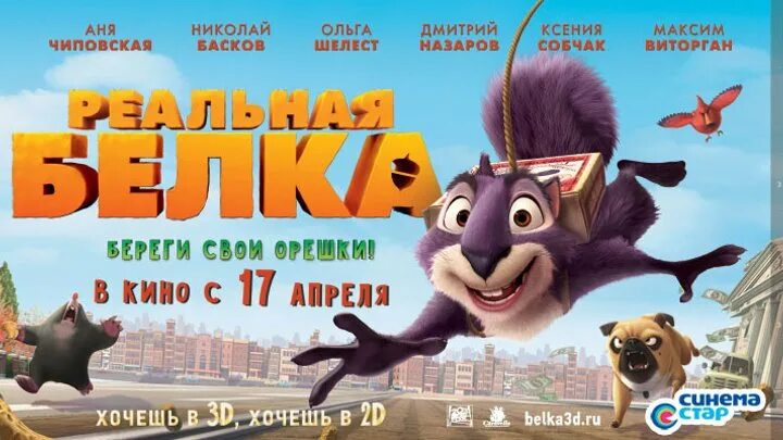 Реальная белка 2. Белка 2014. Реальная белка энди. Реальная белка. Реальная белка 3.