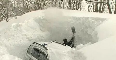 Откопала или откапала