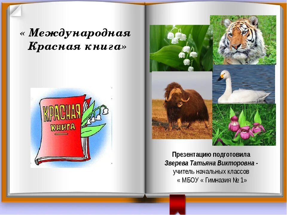 Распечатать красную книгу 2 класс