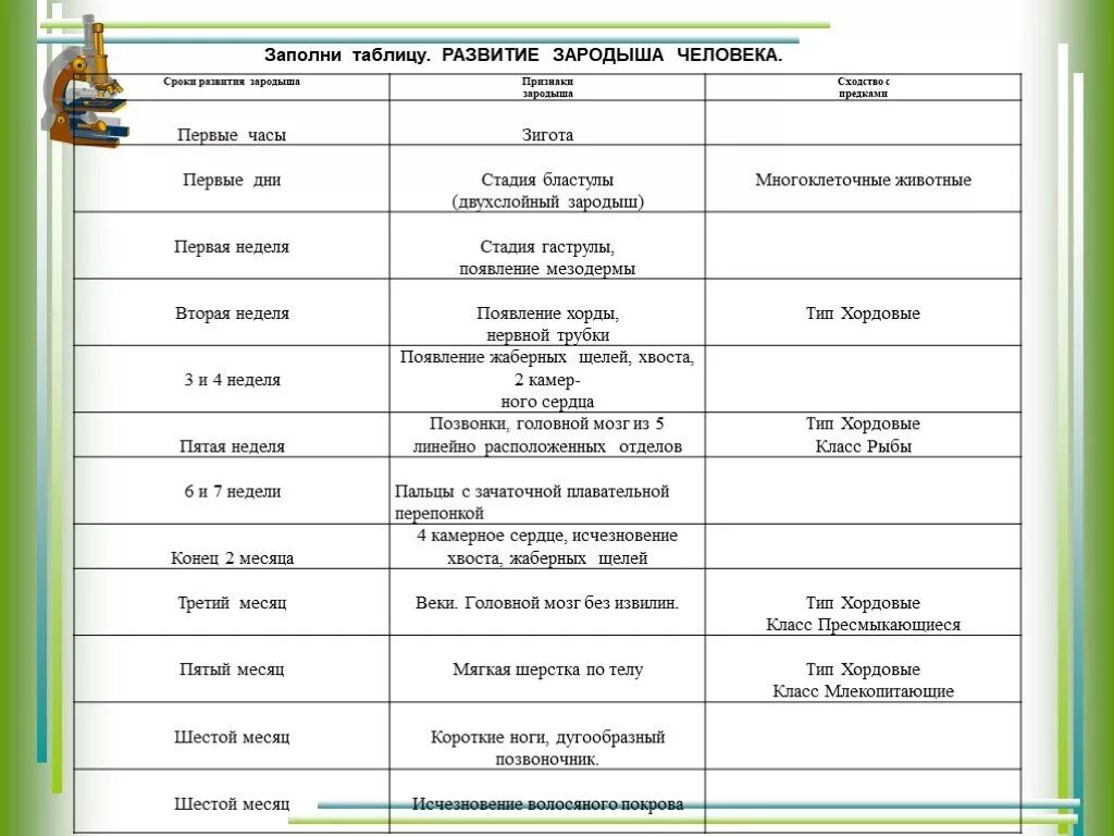 Беременность и роды биология 8. Таблица черты сходства и отличия зародышей позвоночных. Сходства зародышей и различие таблица. Заполните таблицу развитие человека. Заполнить таблицу развитие зародыша.