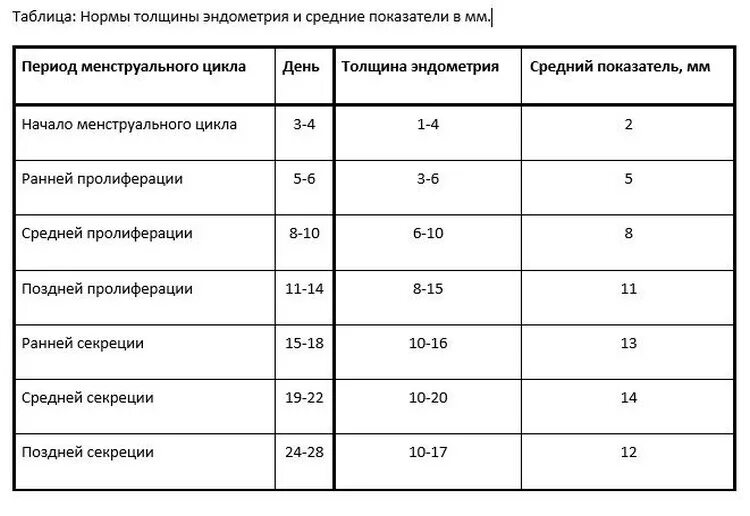 Сколько должен быть эндометрий в норме